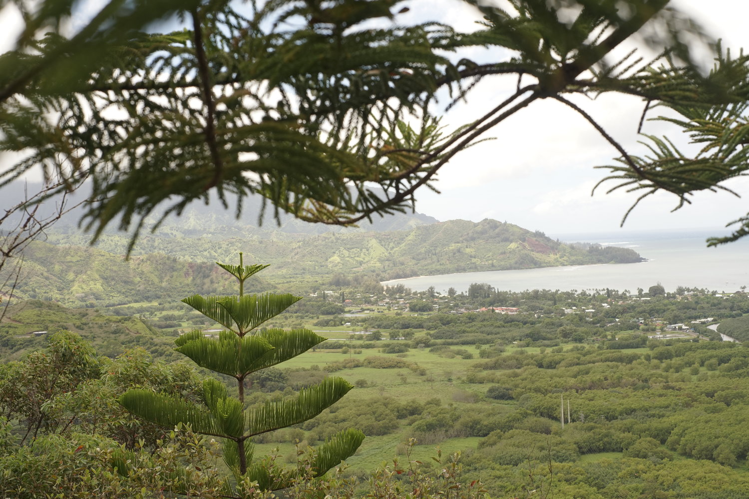 View of Hanalei Bay