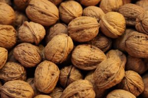 Walnuts help the gut microbiome